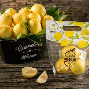 【型農‧悠綠客Eureka】黃檸檬 3台斤/箱