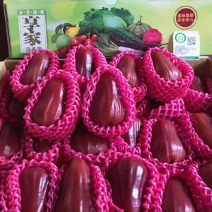 【型農‧享家蔬果園】紫蜜蓮霧大果 3公斤/箱