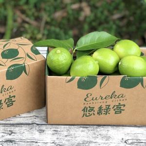 【型農‧悠綠客Eureka】綠檸檬 3台斤/箱(評鑑蜜好友)