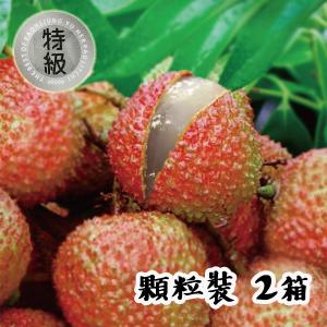 【荔枝產銷班】產銷履歷特級玉荷包(顆粒裝) 5台斤 x 2箱 /組 