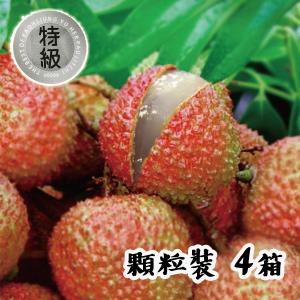 【荔枝產銷班】產銷履歷特級玉荷包(顆粒裝) 5台斤 x 4箱 /組