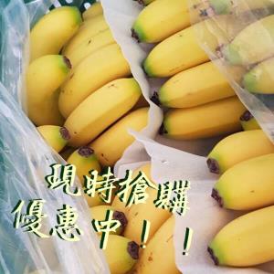 【型農‧旗食咔樂】旗金蕉 15公斤/箱 