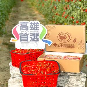 【型農‧禾旺農園】溫室玉女小番茄  