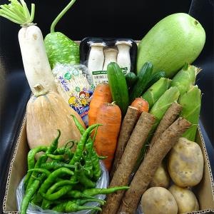 【綠色友善餐廳-野菜村】有機蔬菜箱 10件/組