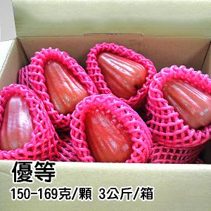 【農會‧六龜】優等蜜風鈴蓮霧3公斤 /箱