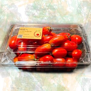 【柯巴ㄟ·小番茄】玉女小番茄