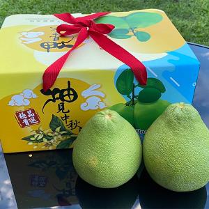 【下營‧柚花園】產銷履歷文旦 5台斤/箱 