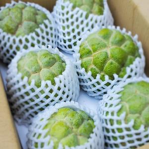 【台東‧松谷農園】產銷履歷大目釋迦6粒 5斤/箱(預購)