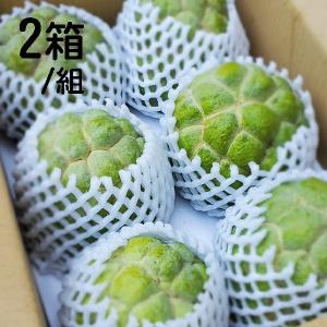 【台東‧松谷農園】產銷履歷大目釋迦6粒5斤2箱/組(預購)