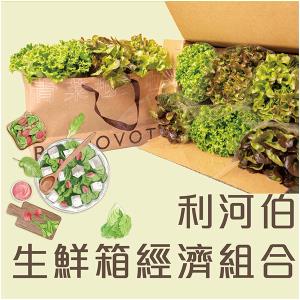 【型農‧利河伯】水耕蔬菜箱 