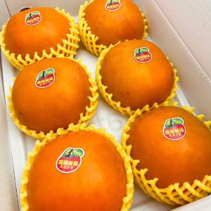 【卓蘭‧褚譽合作社】摩天嶺甜柿10A 6粒裝/箱