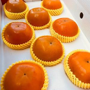 【卓蘭‧褚譽合作社】摩天嶺甜柿8A 8粒裝/箱