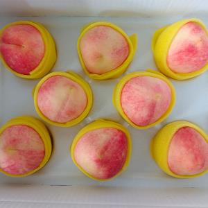 【名間‧元相農產行】紅玉甜桃 8粒/盒