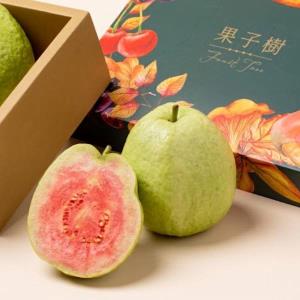 【型農‧綠創】紅鑽芭樂 5台斤/箱