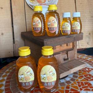 【型農·五月蜂場】荔枝蜂蜜 9入組