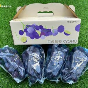 【卓蘭‧褚譽合作社】巨峰葡萄禮盒