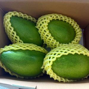 【型農‧卡多農場】酪梨 3.5斤/箱