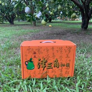 【麻豆‧津三角柚園】特選文旦禮盒 5台斤/箱(預購)