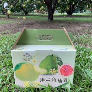 【麻豆‧津三角柚園】老饕迷你果文旦 5台斤/箱(預購)