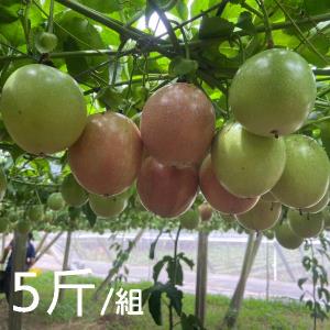 【新社‧豐耀農場】粉紅玫瑰百香果 5斤/箱