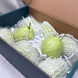 【型農‧祥鶴合作社】口福珍珠芭樂 5斤/箱