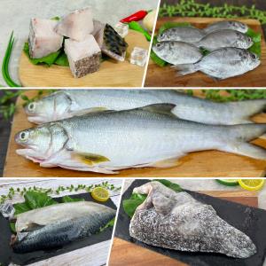 【水產‧永安科養】五福旺來組 5入組