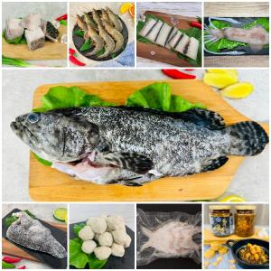 【水產‧永安科養】九九平安組 9入組