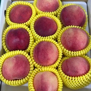 【卓蘭‧褚譽合作社】紅鈴桃 3A 10粒裝/盒