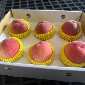 【卓蘭‧褚譽合作社】紅鈴桃 5A 6粒裝/盒