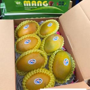 【詮豐農場】夏雪芒果禮盒 5台斤/箱