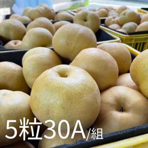 【卓蘭‧褚譽合作社】甘露梨大果5粒 30A禮盒